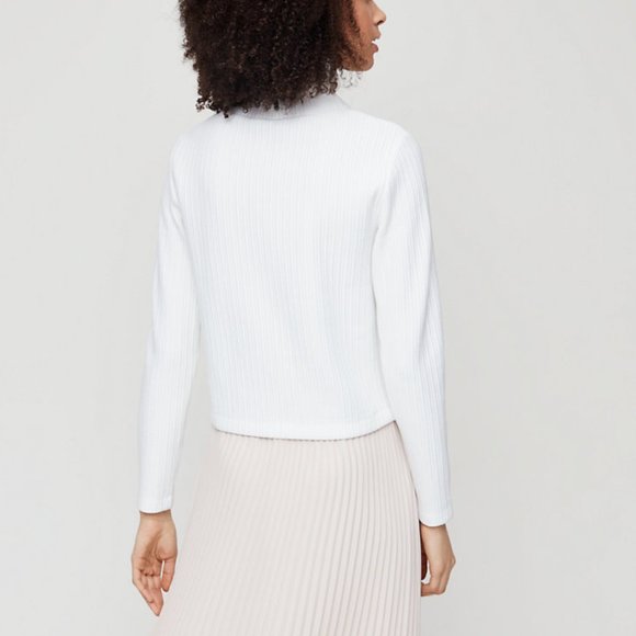 Aritzia White Scoop Turtleneck with Blue stripe - Picture 7 of 7